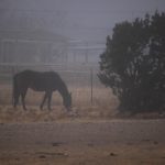 Looking Through the Fog