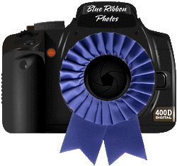 blueribbonlogo250