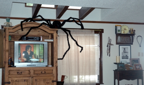 8 foot Halloween Spider 8 foot Halloween Spider