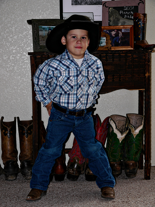 Little Cowboy
