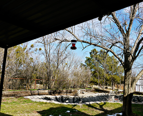 hummingbird feeder