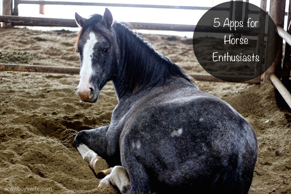 apps for horse lovers