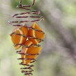 DIY Bird Feeder DIY Bird Feeder
