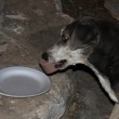 IMG_5237