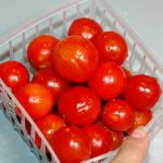 food-048