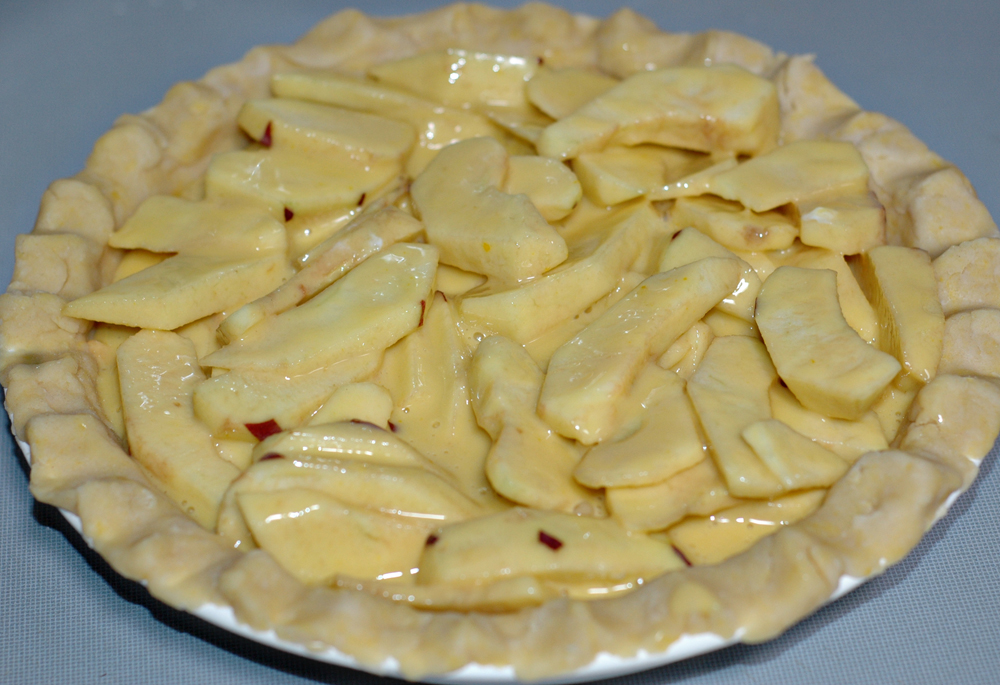 pie 041