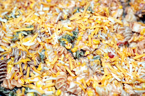 South of the Border Chicken Fiesta