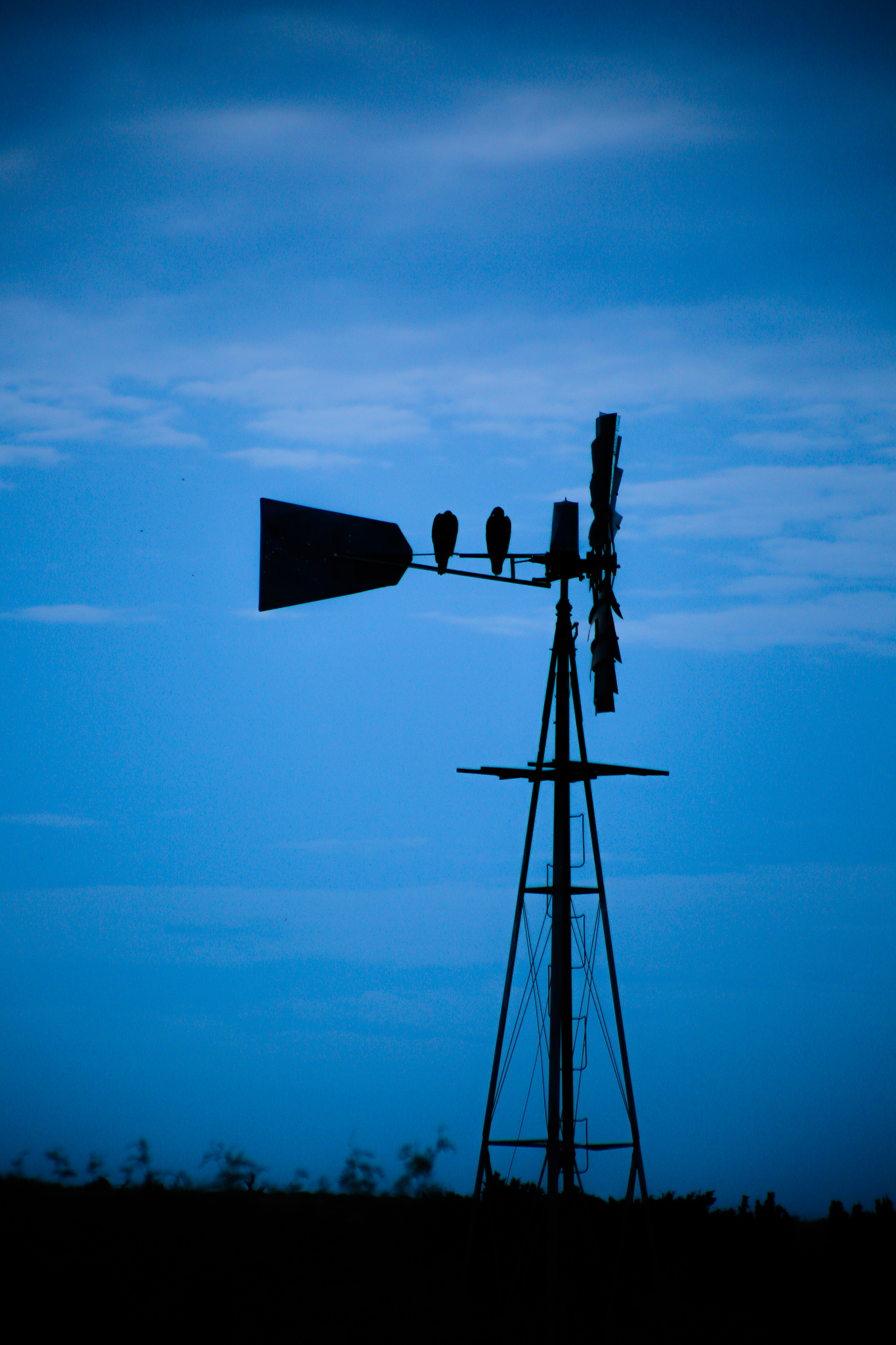 Blue-Windmill-Web-Size