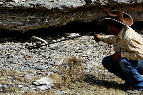 rattlesnake grabbing