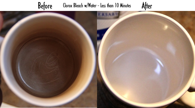 Cloroxbeforeandafter