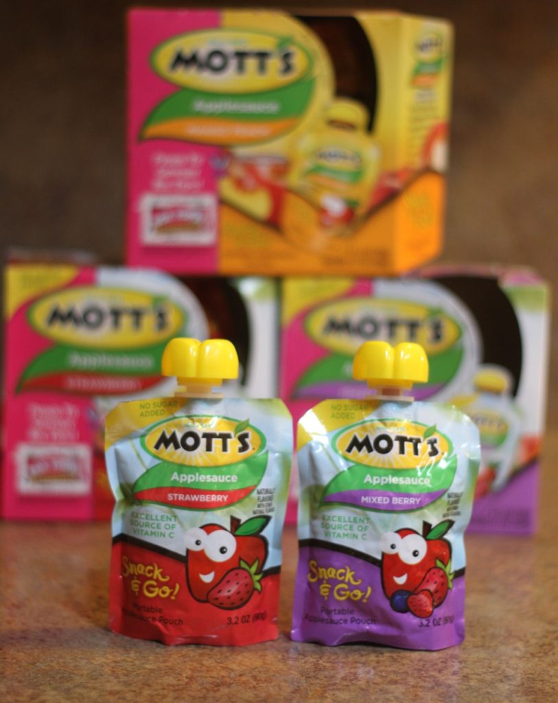 Mott's Snack & go Applesauce