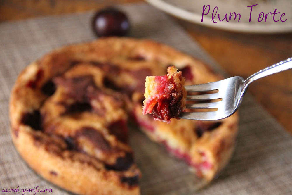 Plum Torte Bite