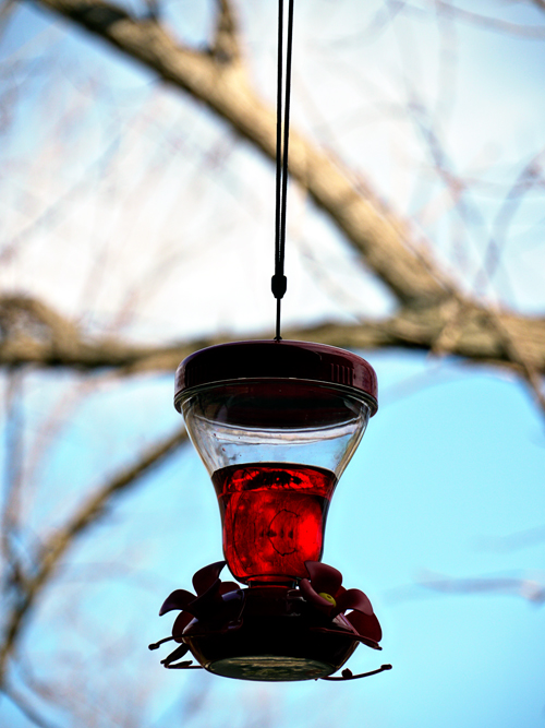 hummingbird feeder outside