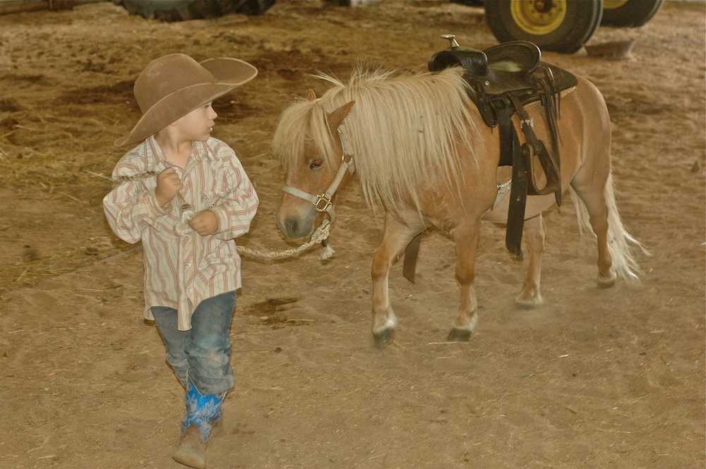little cowboy
