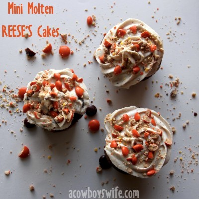 REESE’S Mini Cups Mousse for Mini Molten REESE’S Cakes